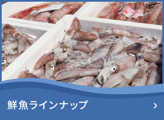 鮮魚ラインナップ